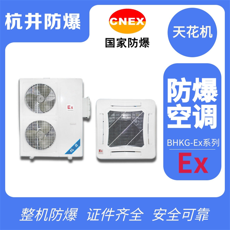 垃圾處理廠(chǎng)用空調-全新風(fēng)屋頂式防爆空調