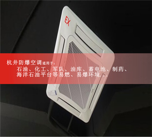 油墨廠(chǎng)防爆空調機案例圖