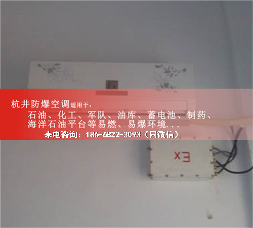 核電站防爆空調機案例圖