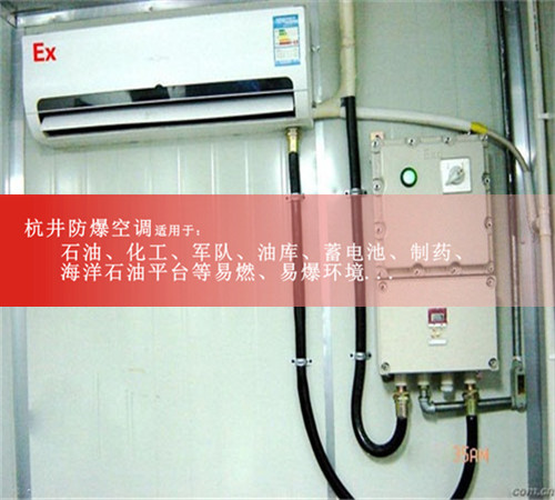 10p化工廠(chǎng)實(shí)驗室熱泵式防爆空調圖片
